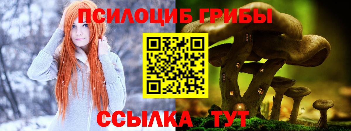 Псилоцибиновые грибы мицелий  Вход с VPN  Карабулак  Галлюциногенные грибы ЛСД 