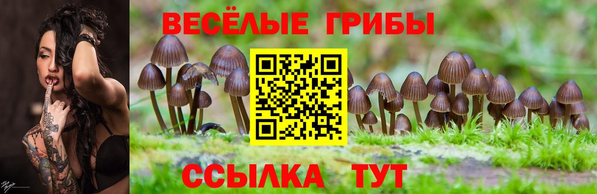 Галлюциногенные грибы MAGIC MUSHROOMS Карабулак